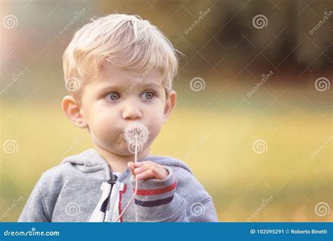 kid blowing dandelion outdoor stock image image  horizontal cute