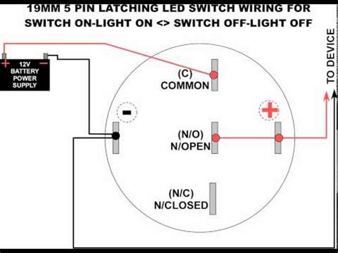 wiring diagram  pin plug