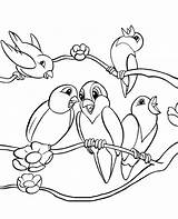 Birds Coloring Cartoon Topcoloringpages Color Print Five sketch template