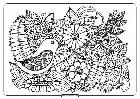 coloring pages flowers  birds printable bird  flowers