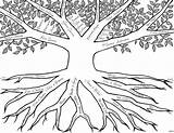 Tree Family Coloring Drawing Pages Easy Printable Kids Drawings Adults Clipart Library Collection Getdrawings Paintingvalley Comments sketch template