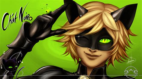 chat noir wallpapers 69 images