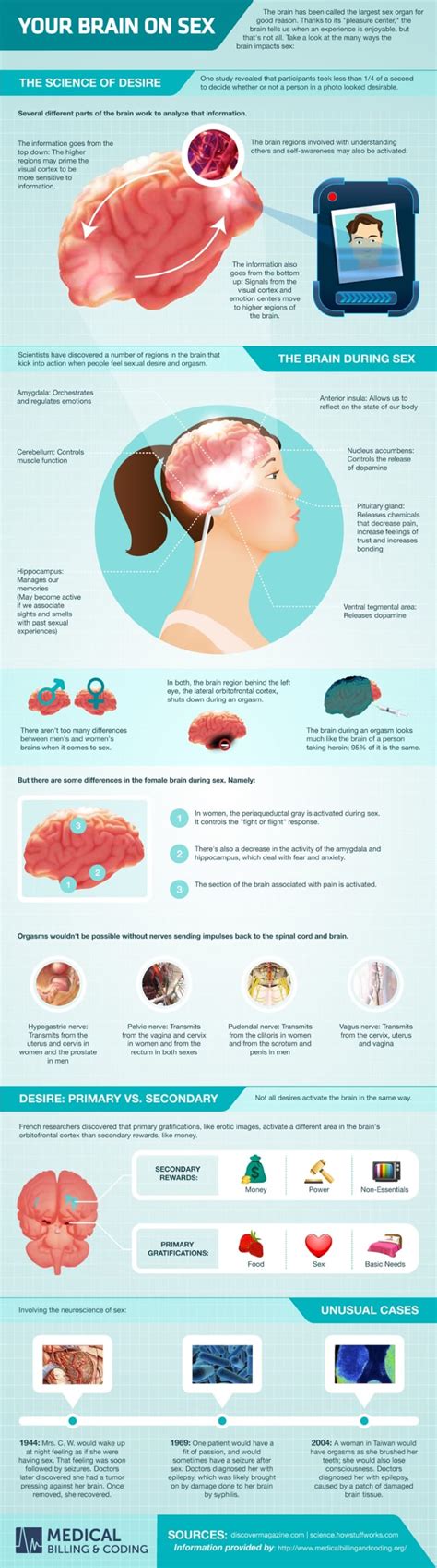 Your Brain On Sex Infographic Mindbodygreen