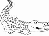 Mewarnai Alligator Buaya Crocodile Binatang Bonikids Populer Koleksi Krokodil Desenho Hewan Alligators Cliparting Wikiclipart sketch template