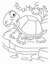 Tortoise Coloring Getdrawings Hare sketch template