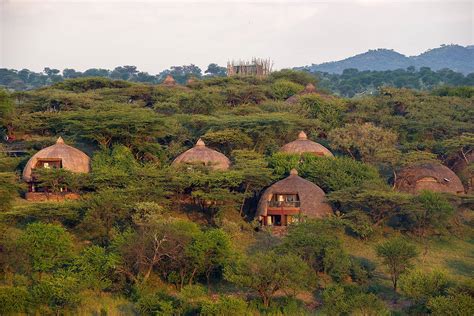 serengeti serena safari lodge tanzania africanmecca safaris tours