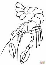 Coloring Crayfish Pages Printable Drawing sketch template