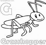 Grasshopper Coloring Kids Pages Color Getdrawings Printable Getcolorings sketch template