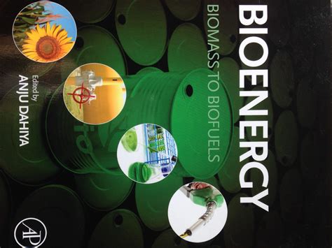 bioenergy biomass  biofuels   introductory textbook