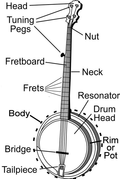 string banjo buyers guide  riverboat musictm