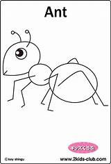 Coloring Ant In16 sketch template
