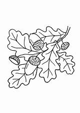 Coloring Pages Leaves Tree sketch template