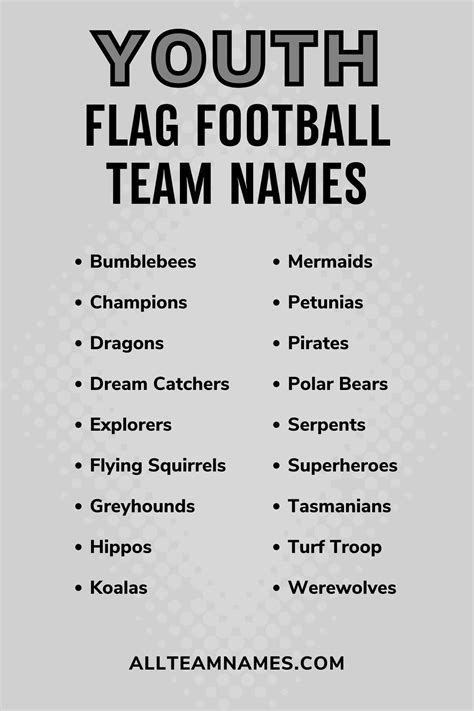 flag football team names  kids  adults