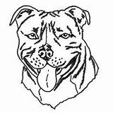 Pitbull Bull Staffordshire Clipartmag Staffy Bullterrier Malvorlage Informatie sketch template