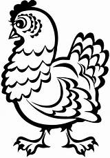 Chicken Coloring Pages Hen Printable Cute Rooster Chickens Cartoon sketch template