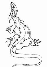 Hagedis Kleurplaten Kleurplaat Komodo Eidechse Coloriage Hugolescargot Animaatjes Gros Lezard Malvorlagen1001 Rainforest Reptiles Imprimer sketch template