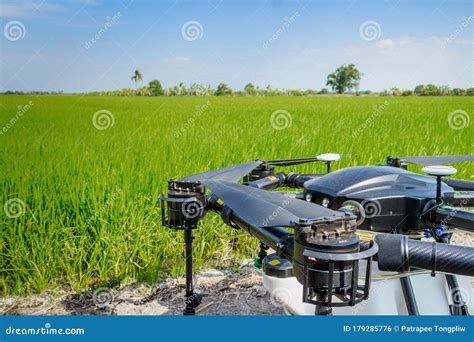 drone  agriculture prepare  fly operation  spray pesticides  fertilizer stock photo