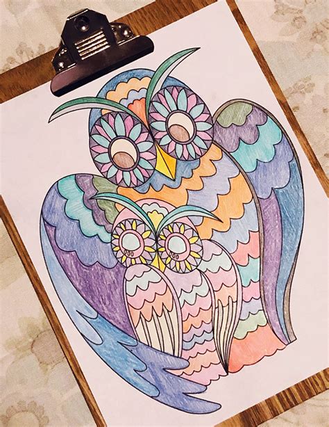 owl  love printable coloring page fright  home