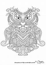 Coloring Pages Adults Abstract Owl Paisley Adult Owls Colouring Printable Coloriage Mandala Ado Pour Photobucket Drawings Zentangle Volwassenen Kleurplaat Uil sketch template