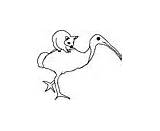 Ibis Scarlet Coloring Animals Pages sketch template