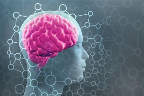 New Estimate Boosts The Human Brain S Memory Capacity 10 Fold