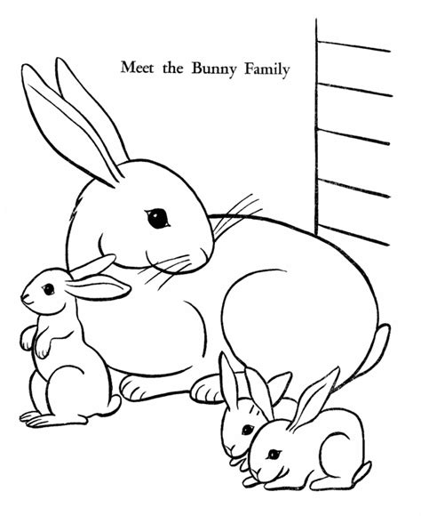 baby rabbits coloring pages coloring home