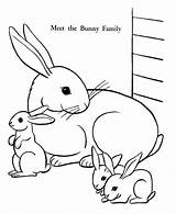 Bunny Coloring Easter Pages Bunnies Sheets Family Activity sketch template