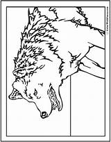 Wolf Coloring Pages Dire Wild Printable Template Colorwithfuzzy sketch template