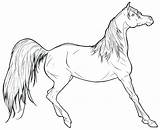 Running Horse Coloring Pages Getdrawings sketch template