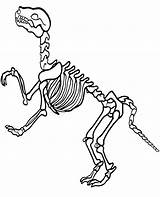 Dinosaur Printable Skeleton Coloring Print Bones sketch template