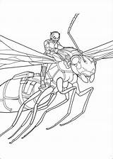 Ant Coloring Pages Kids Visit Man Colouring sketch template