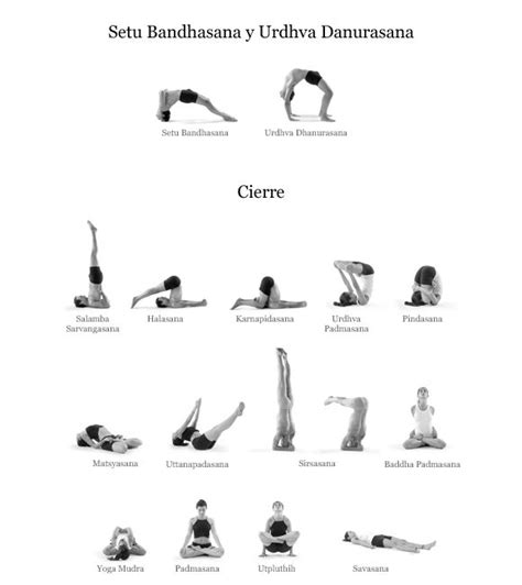 ashtanga primary series  asanas yoga ashtanga vinyasa