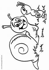 Coloring Pages Snail Printable Snails Color Kids Ant Animal Drawing Sheet Getdrawings Sheets Found sketch template