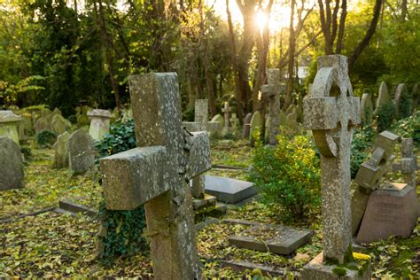 explore   londons famous highgate cemetery   guide
