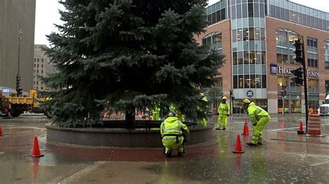 city  milwaukee christmas tree harvested lets bring  ceremony   city hall