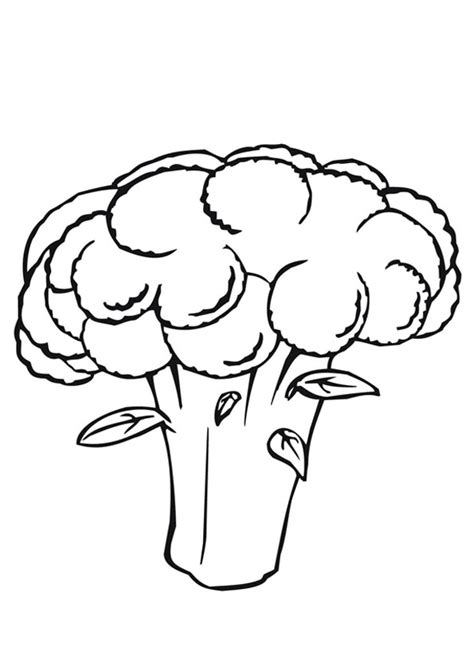 coloring pages cauliflower vegetables coloring page