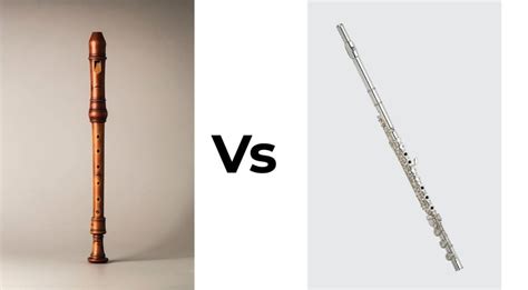 flute  recorder  guide   differences