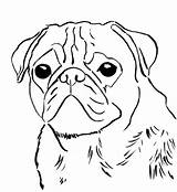 Pug Coloring Pages Puppy Dog Printable Pugs Drawing Print Face Template Color Baby Animals Sad Cute Kids Adults Easy Draw sketch template