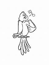 Canary Coloring Pages Bird Singing Birds Printable Popular Getcolorings Coloringhome Print sketch template