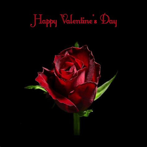 valentines love and roses animated s best animations