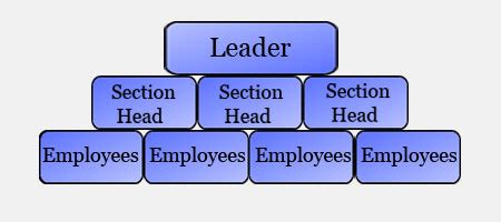 tanveer naseer      leadership pyramid