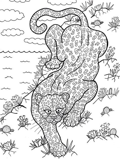 sashataran coloring books animal coloring pages leopard drawing