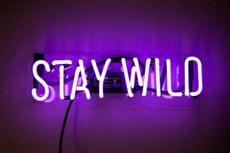 Stay Wild Neon Sign Neon Signs Neon Quotes Neon Words