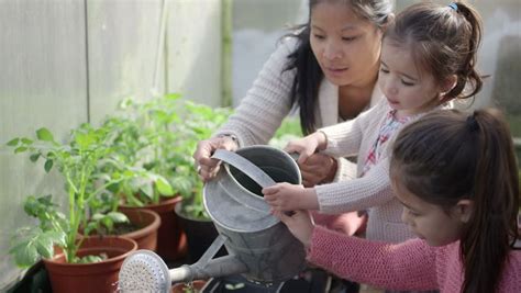 Mother Teaching Daughters In Greenhouse Stock Footage Video 4207060