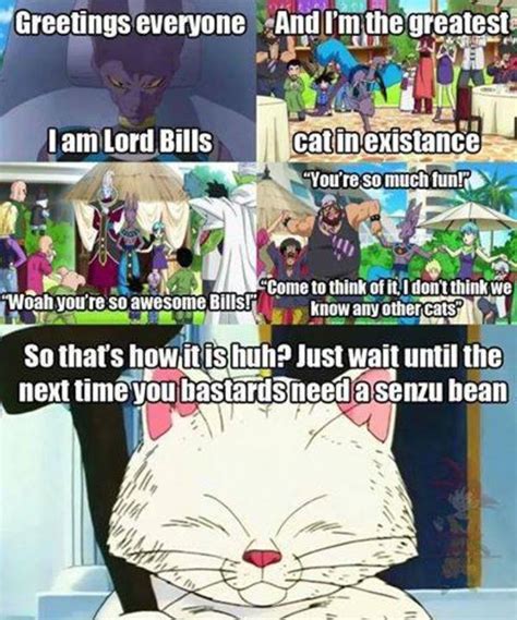 no love for korin dragon ball know your meme