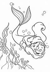 Sirenita Pequena Sereia Coloring Sirena Lindos Gratistodo Princesa Princesas Walt Sirenas Flounder Colorings sketch template