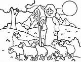 Coloring Shepherd Sheep Pages Good Jesus Kids Drawing Lamb Boy Shepherds Lost David Ram Printable German Australian Am Print Baby sketch template
