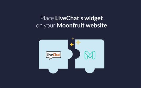 moonfruit livechat works  moonfruit