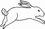 Bunny Drawing Hopping Coloring Pages Kids Color sketch template