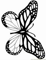 Butterfly Coloring Monarch Pages Realistic Drawing Printable Book Comments Pretty Simple Getdrawings Clipartmag Coloringhome Choose Board Beautiful Artículo Info sketch template